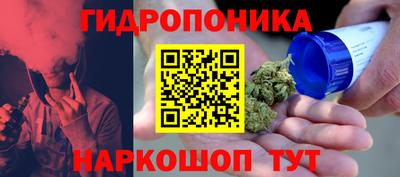 шишки Ярославль